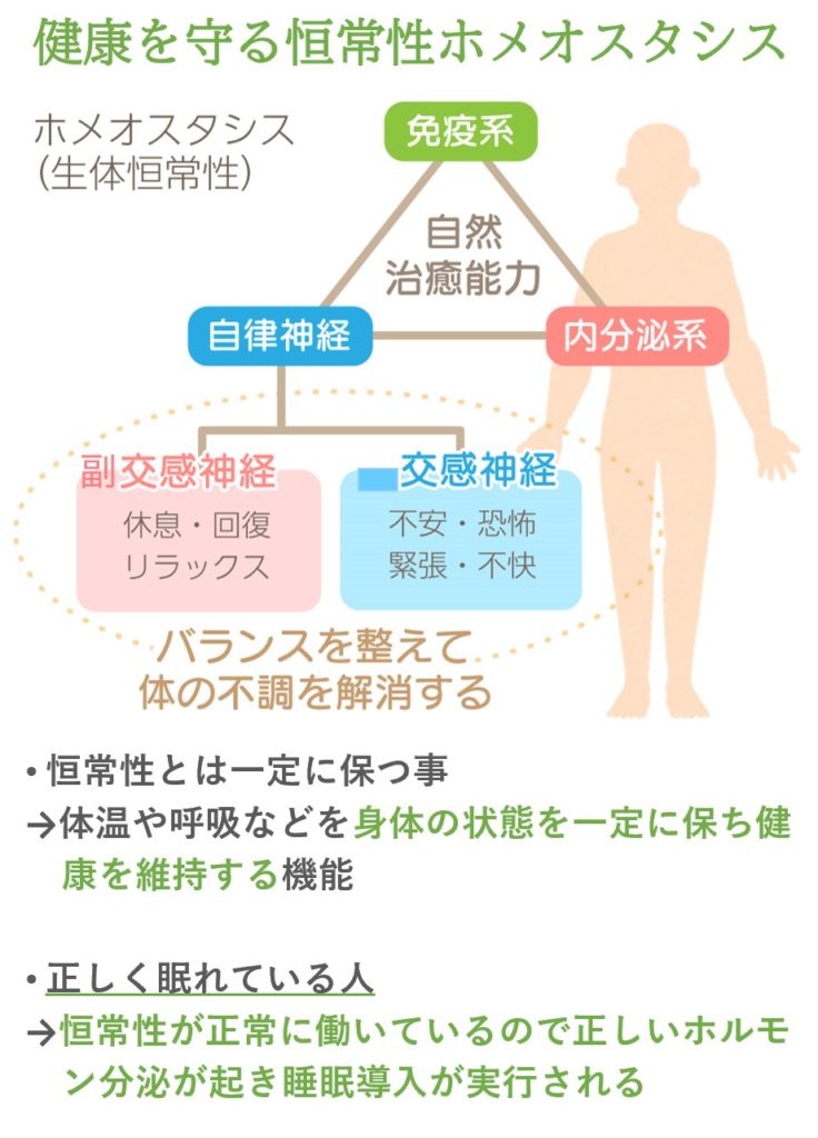 ストレスは恒常性にも影響を及ぼす
